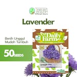 TANDURIA - Benih Bunga Lavender Daily Farm Bibit Biji Bunga Tanaman Hias