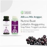 TANDURIA - AB Mix Cair Anggur Nutrisi Instant Siap Pakai 250 ML