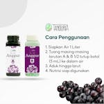 TANDURIA - AB Mix Cair Anggur Nutrisi Instant Siap Pakai 250 ML