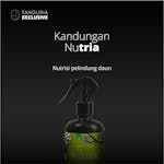 TANDURIA - Nutria Nutrisi Daun Suplemen Kesuburan Daun Tanaman 500ml